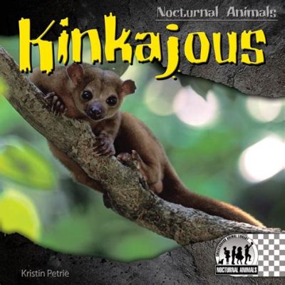  Kinkajou: Um mamífero noturno com uma língua surpreendentemente comprida e habilidades de escalada impressionantes!